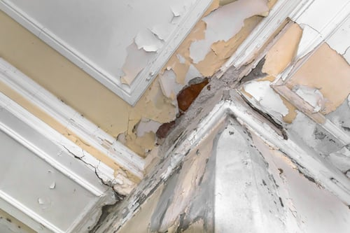 Interior Demolition